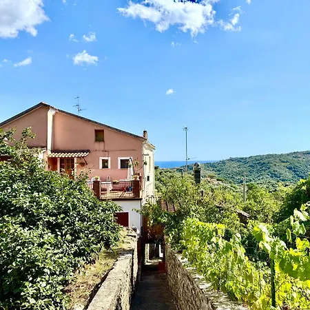 Giordano Acquavella